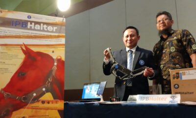 IPB University Luncurkan IPBHalter: Alat Pemantauan Kesehatan Kuda Berbasis Al dan loT