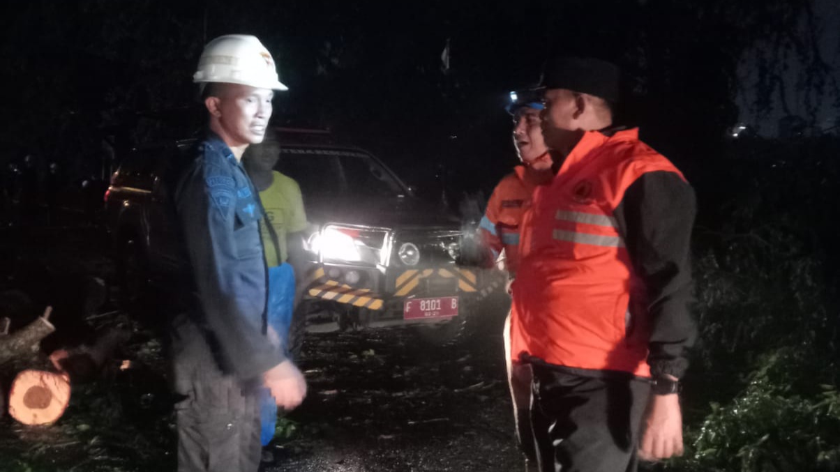 Diguyur Hujan Deras dan Angin Kencang, 13 Pohon Tumbang di Kota Bogor