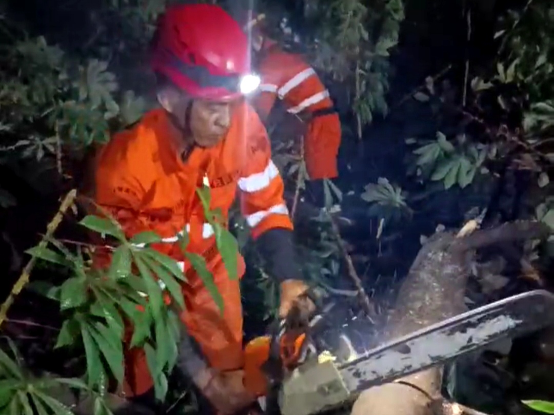 Pohon Tumbang di Kedung Jaya, 3 Pekerja Bangunan Terluka 