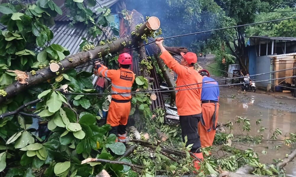 Dahan Patah di Jalan KS Tubun Timpa Warung dan 3 Motor