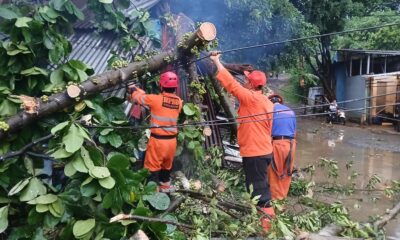 Dahan Patah di Jalan KS Tubun Timpa Warung dan 3 Motor