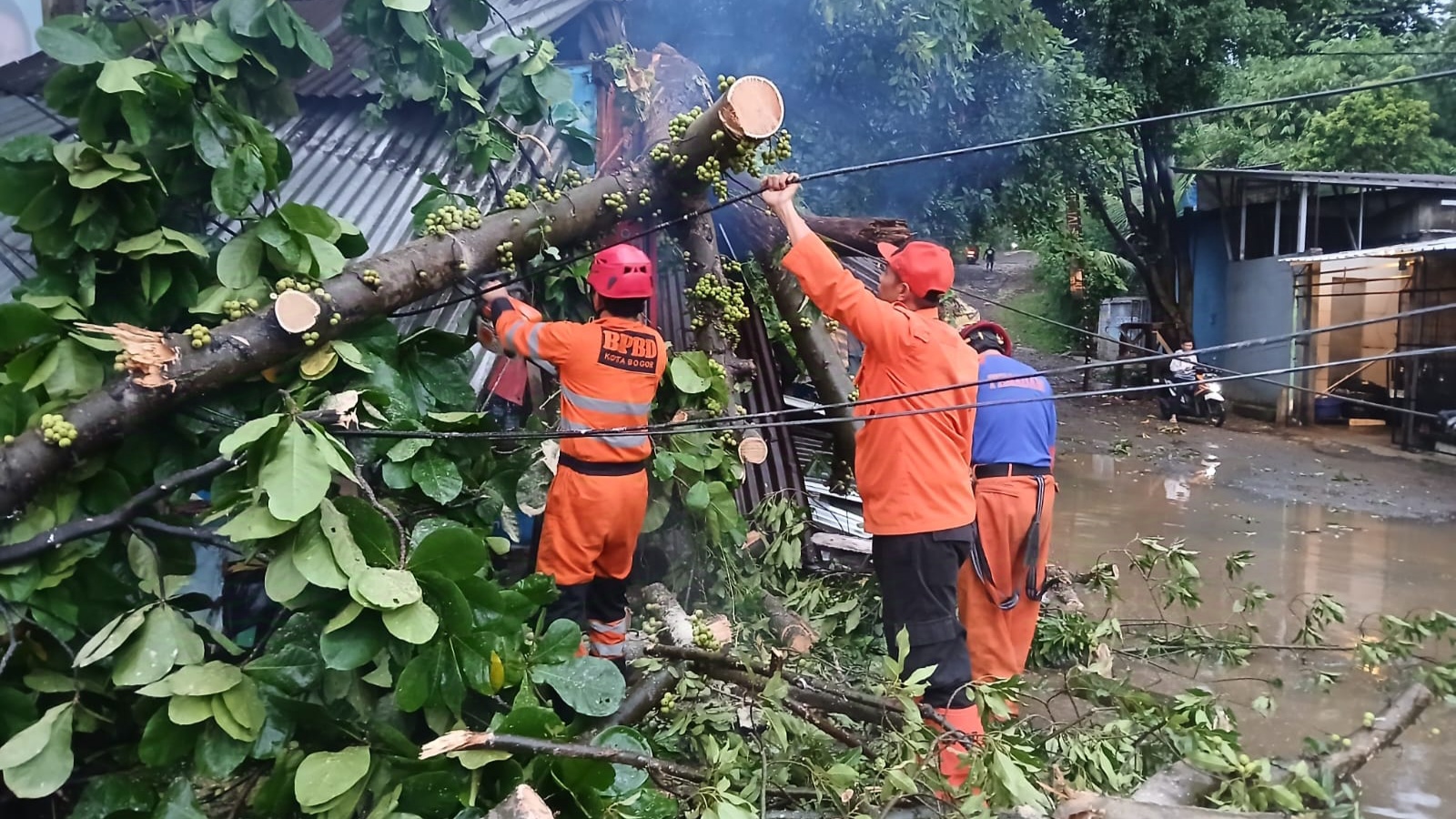 Dahan Patah di Jalan KS Tubun Timpa Warung dan 3 Motor