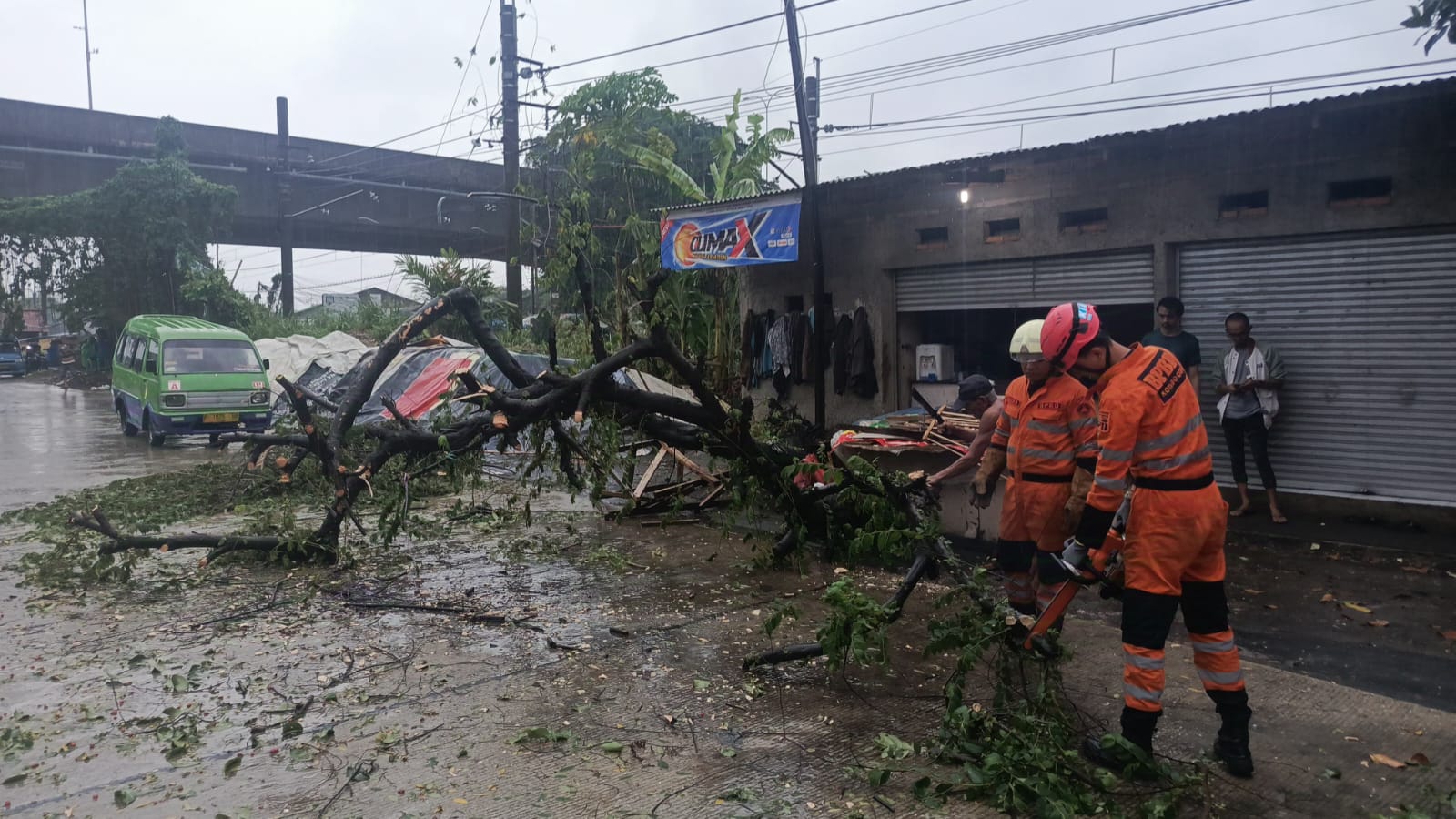 BPBD Kota Bogor Evakuasi Pohon Tumbang yang Tutup Akses Jalan