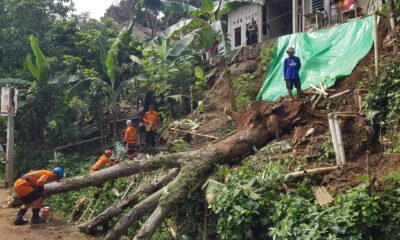 Longsor di Genteng Gerus Pohon, Rumah Warga Terancam