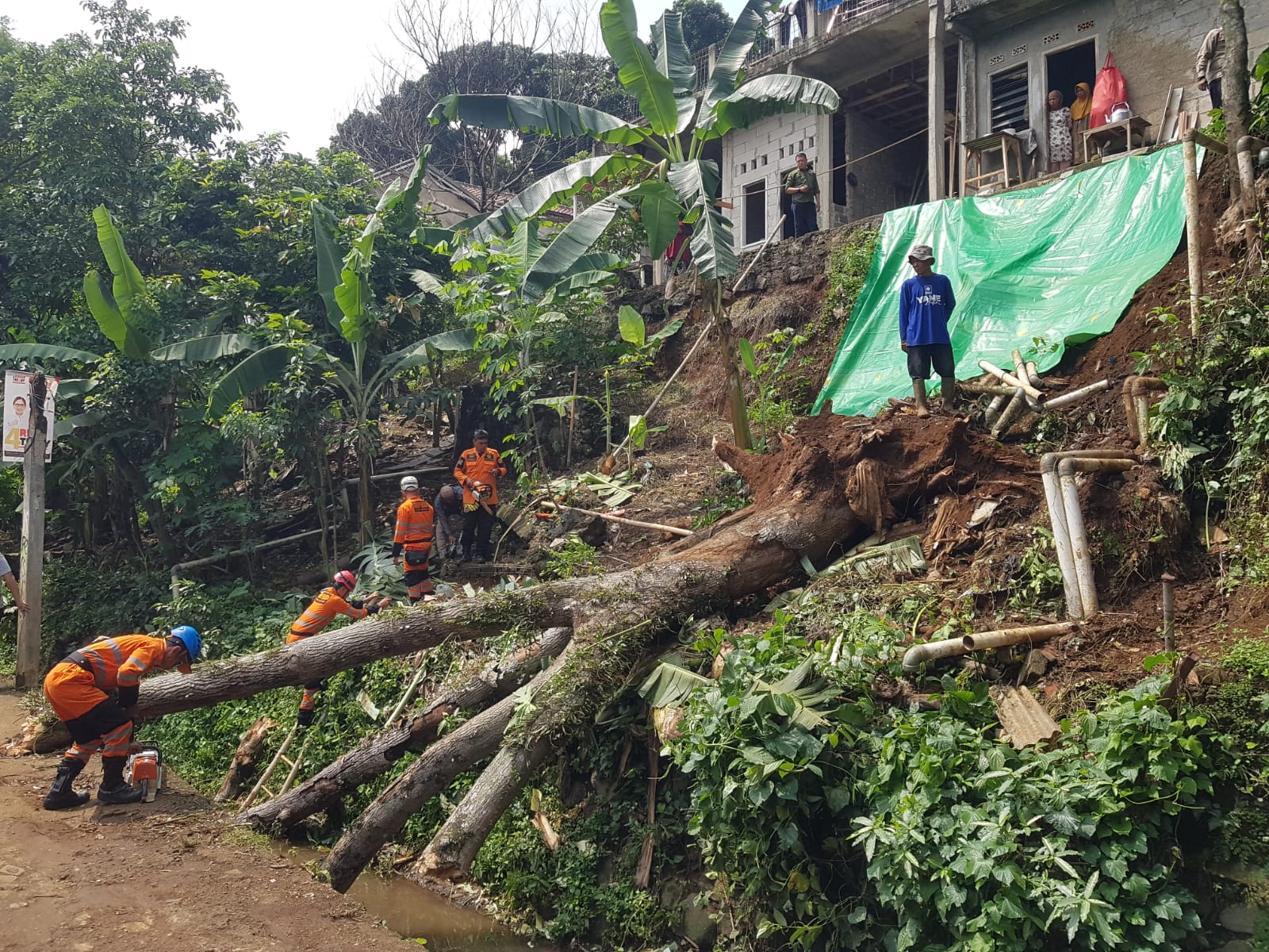 Longsor di Genteng Gerus Pohon, Rumah Warga Terancam