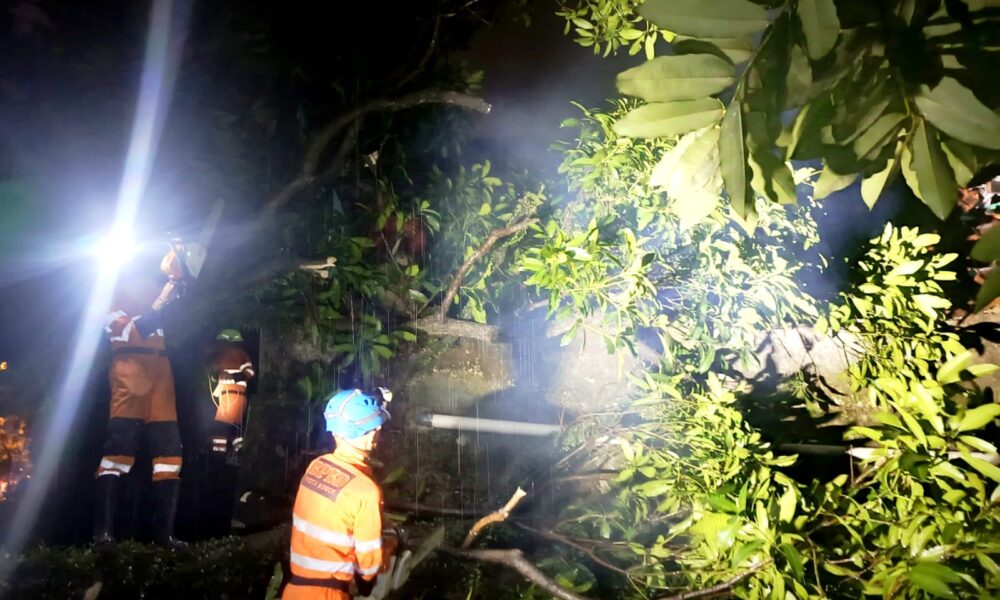 Pohon Tumbang Timpa Atap Makam di Lawanggintung