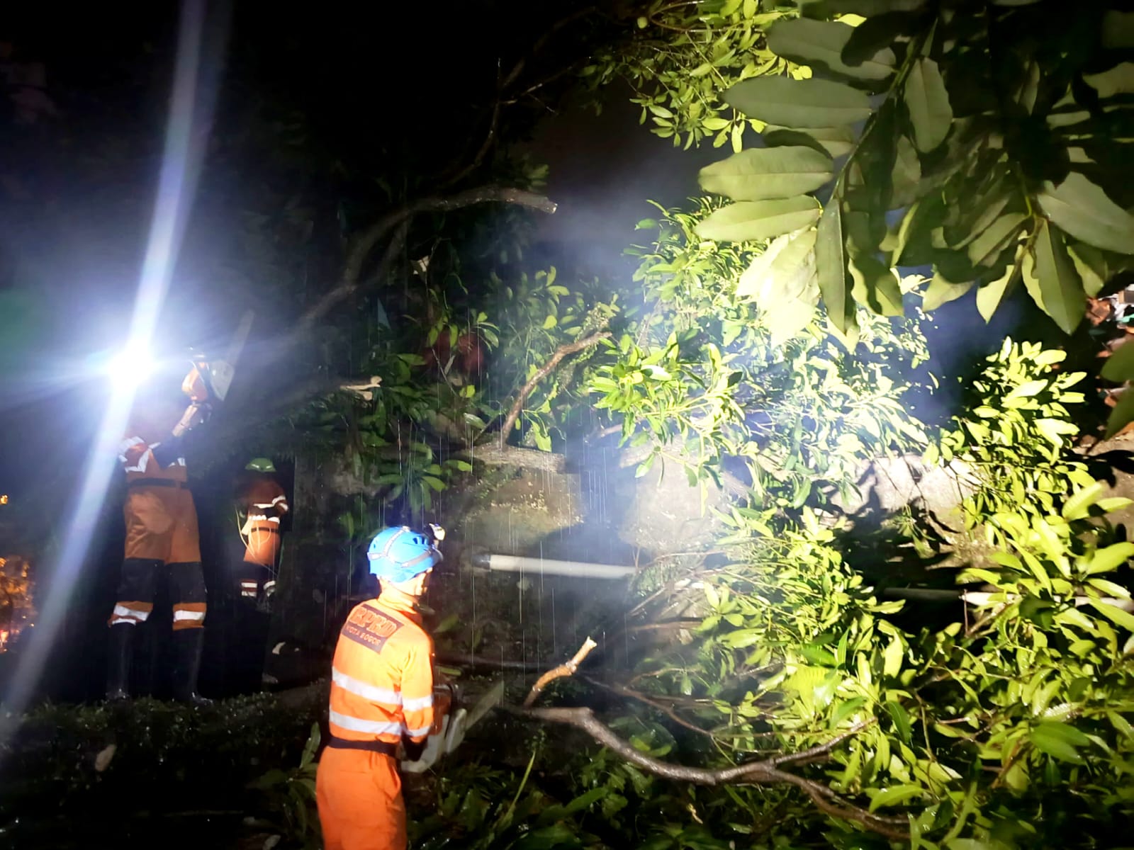 Pohon Tumbang Timpa Atap Makam di Lawanggintung