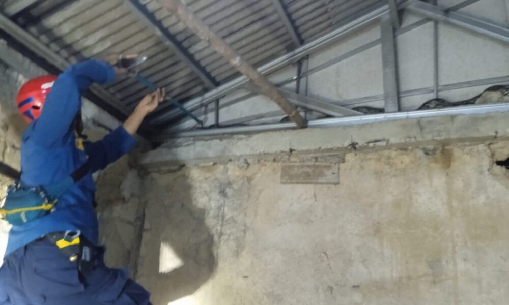 Ular Sanca Besar Kejutan Warga Rancamaya, Damkar Sigap Evakuasi