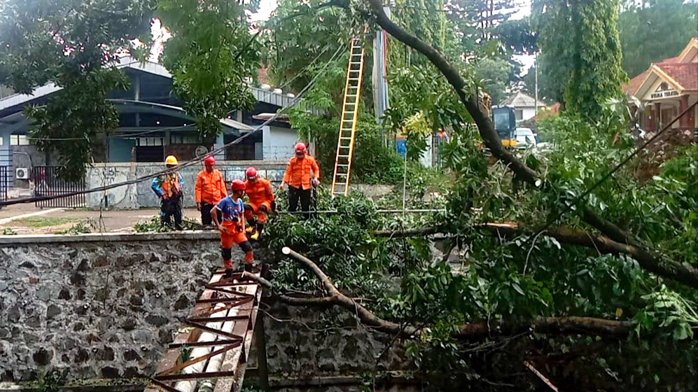 Tutupi Aliran Sungai Cikaret, Pohon Tumbang Dievakuasi Petugas