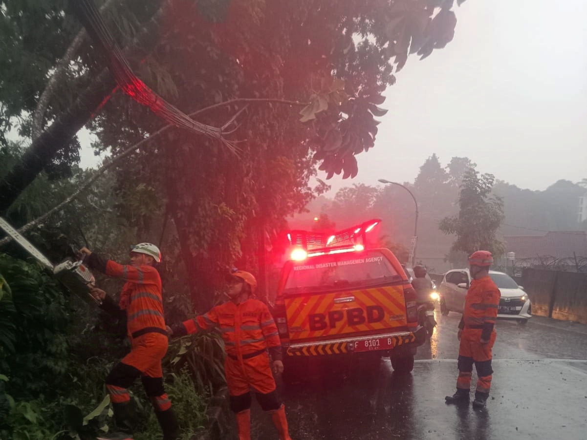Cuaca Ekstrem, Pohon Tumbang Timpa Kabel Optik di Loji