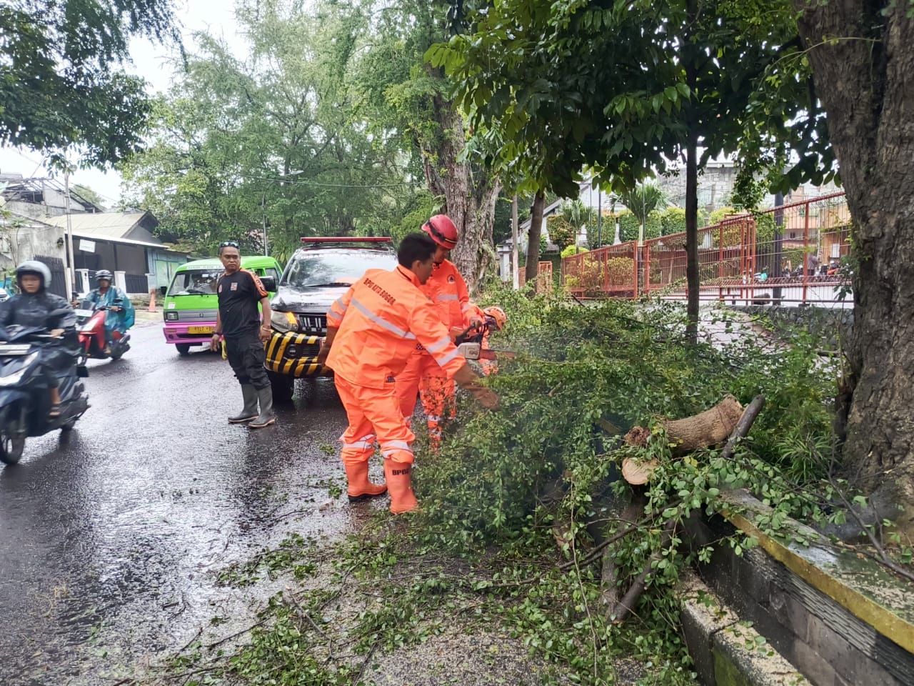 Dahan Patah Tutupi Separuh Jalan Batutulis, BPBD Sigap Evakuasi