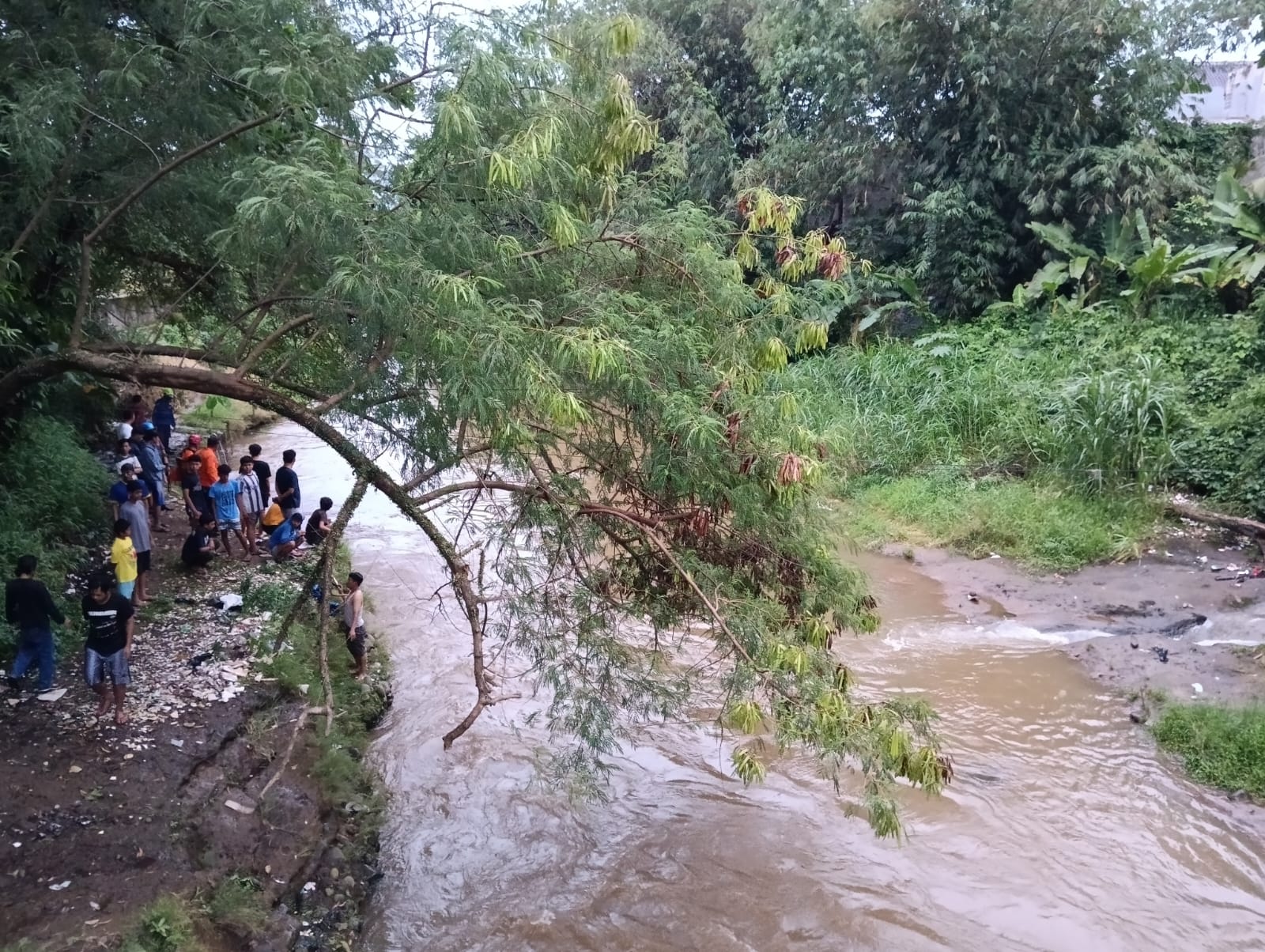 Balita 2 Tahun yang Hanyut di Sungai Ciliwung Ditemukan Sejauh 12,5 Km