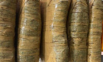 Kurir Narkoba Ditangkap Polisi saat Mau Ambil 5 Kg Ganja di Kota Bogor