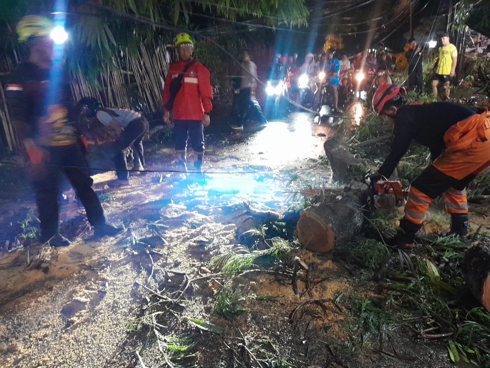 Pohon Tumbang di Cimahpar Sempat Tutup Akses Jalan 