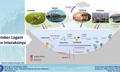 Guru Besar IPB University Nilai Pentingnya Analisis Logam Berat untuk Kesehatan Laut