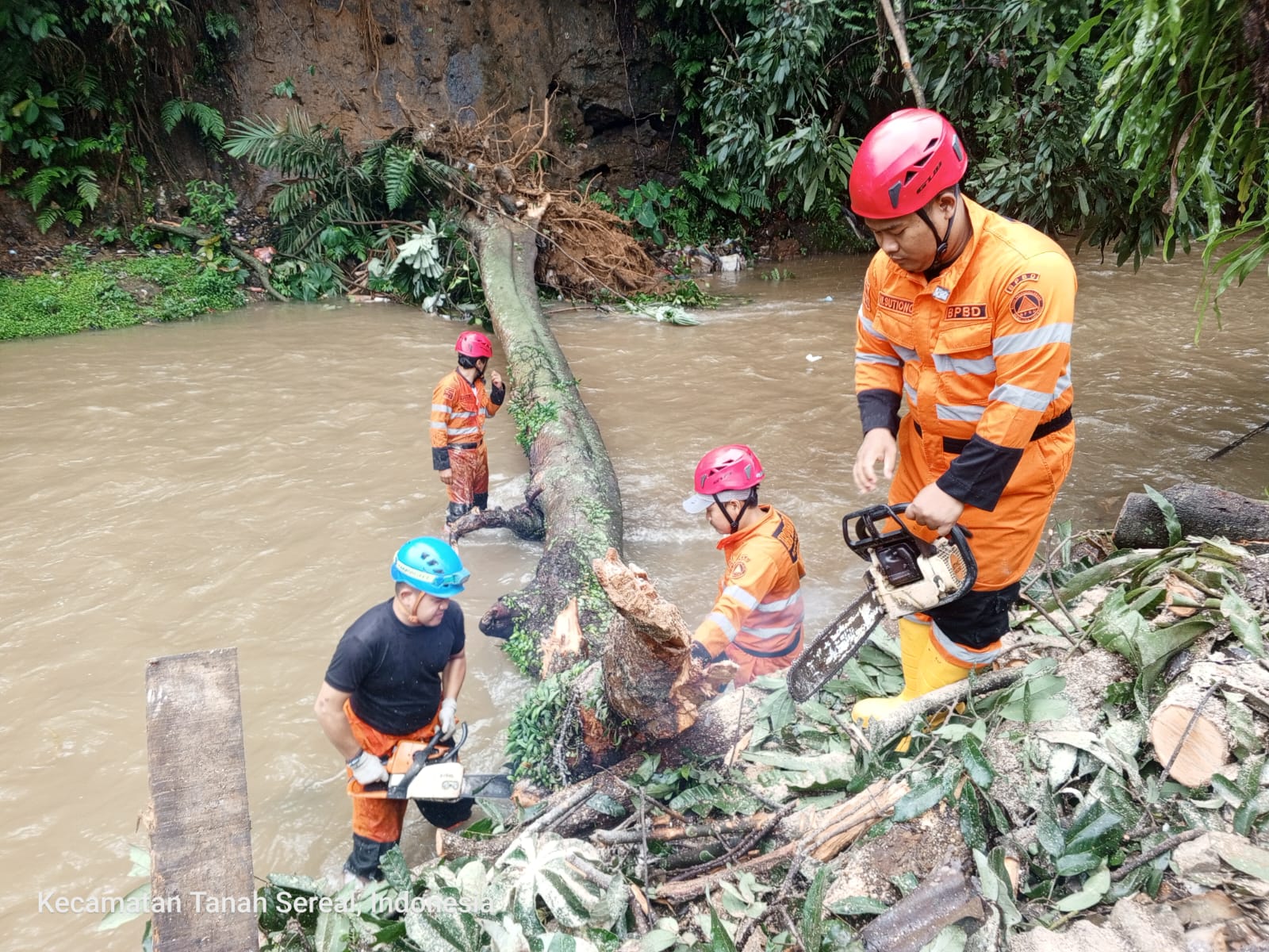 Tergerus Longsor, Pohon Tumbang Timpa Rumah di Kota Bogor 