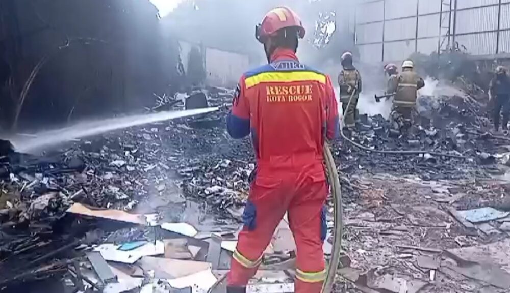 Si Jago Merah Melahap Sampah di Cibuluh Kota Bogor