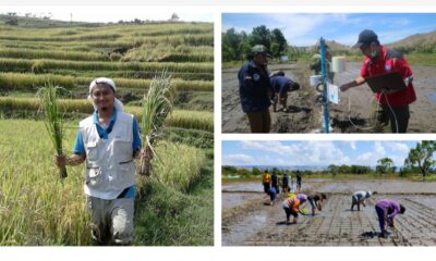 Teknik Irigasi Presisi Berbasis AI Genjot Produktivitas Pertanian 