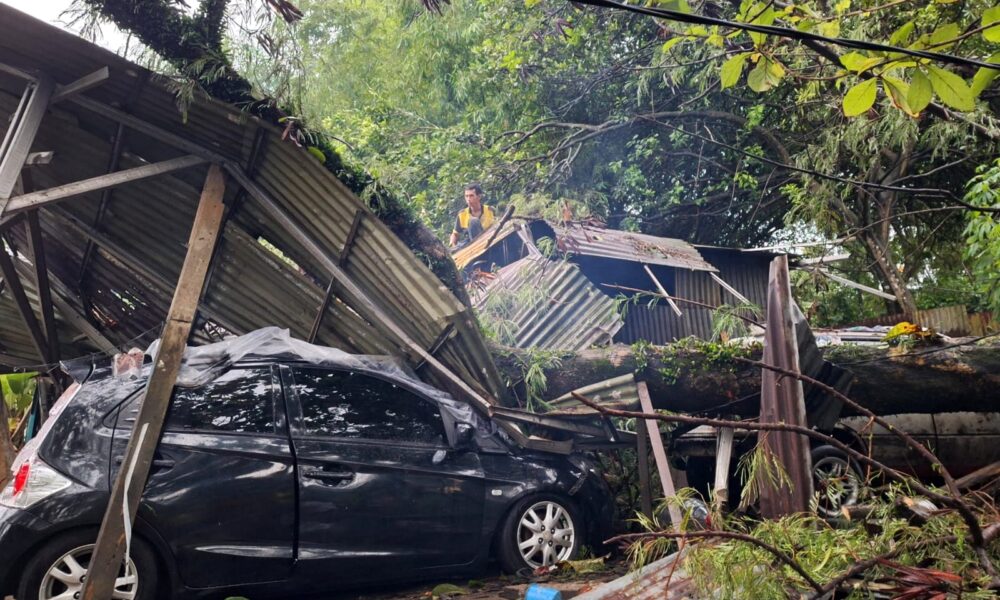 Pohon 'Raksasa' Tumbang Timpa Bengkel-Mobil di Batutulis