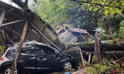 Pohon 'Raksasa' Tumbang Timpa Bengkel-Mobil di Batutulis