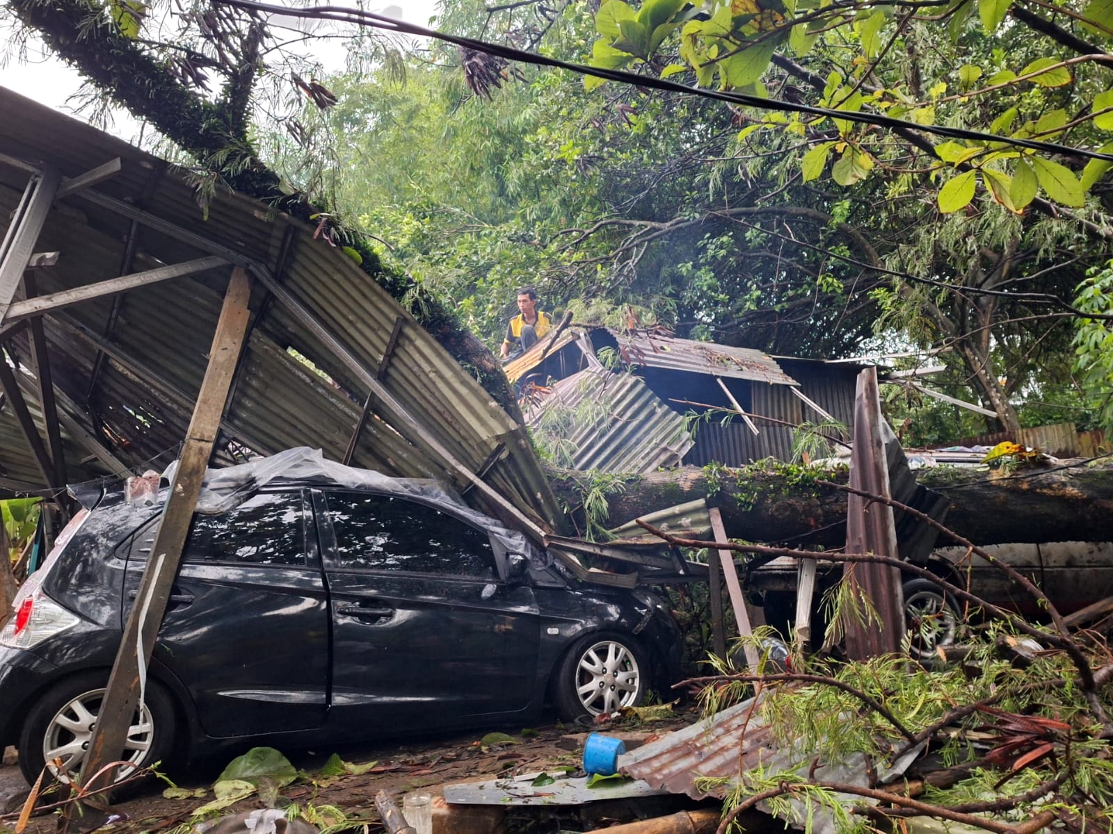 Pohon 'Raksasa' Tumbang Timpa Bengkel-Mobil di Batutulis