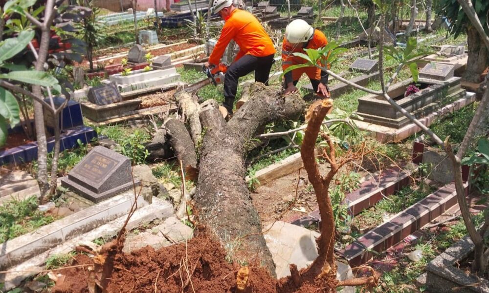 Pohon Tumbang Timpa Makam di Tegal Gundil, BPBD Evakuasi