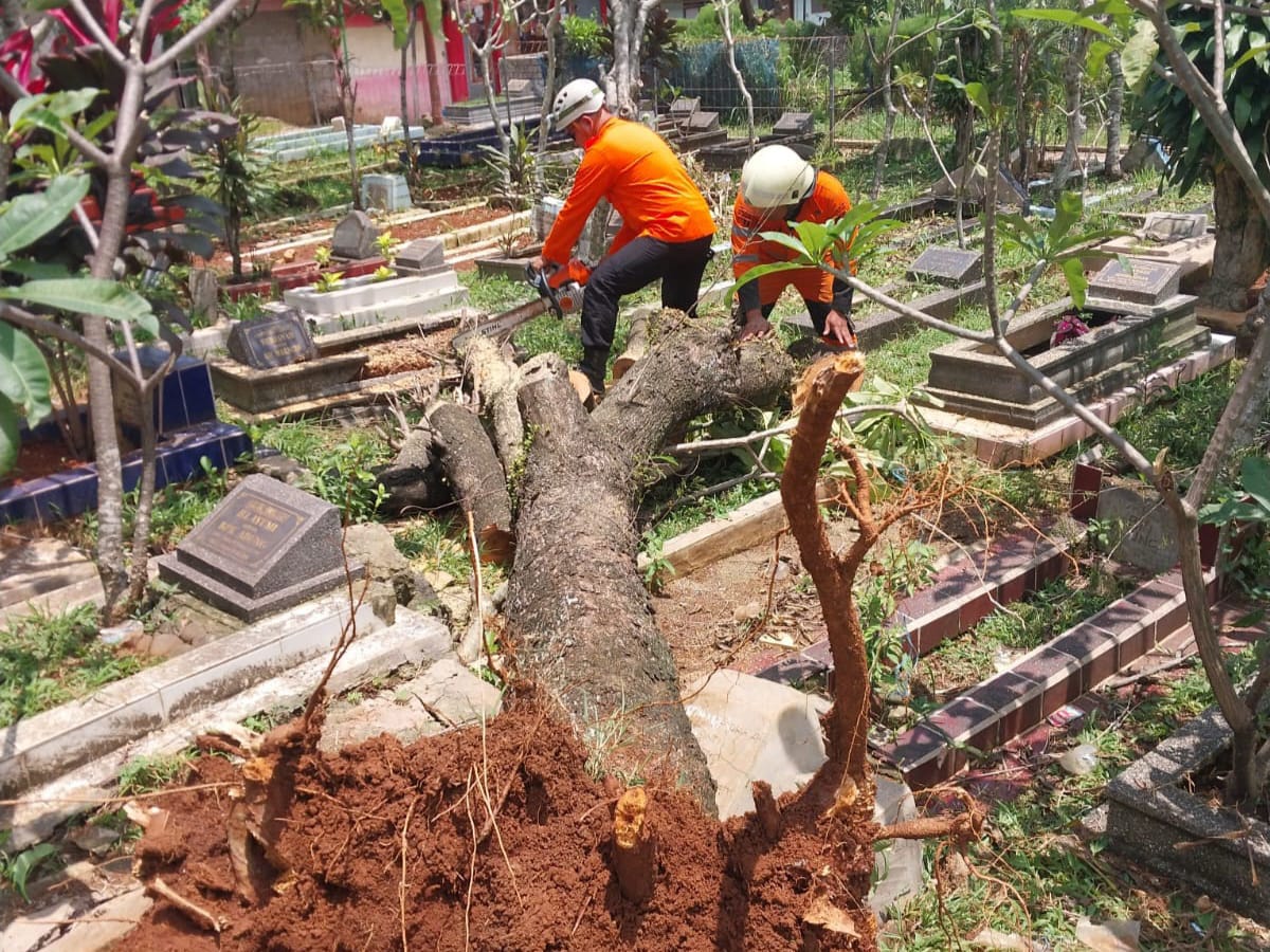 Pohon Tumbang Timpa Makam di Tegal Gundil, BPBD Evakuasi