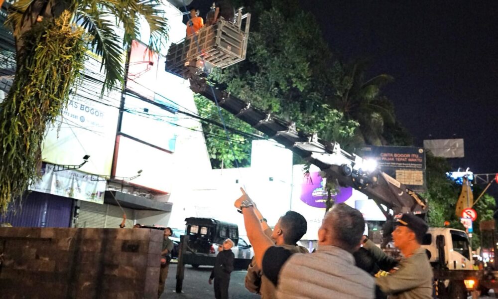 Billboard Tak Berizin Dibongkar, Moratorium segera Diterapkan di SSA