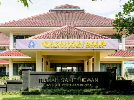 Cari Penitipan Hewan saat Mudik? Kunjungi RSHP IPB University