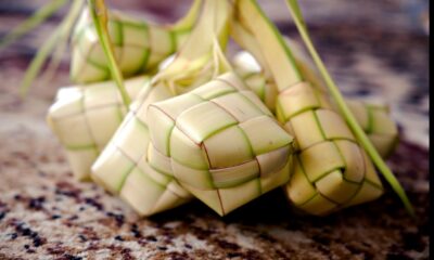 Tips Agar Ketupat Tidak Cepat Basi Ala Pakar IPB University