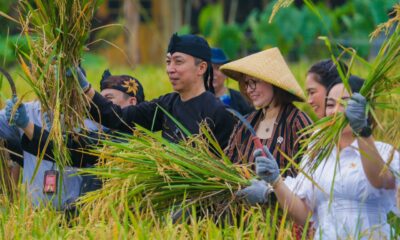 Kolaborasi Lintas Sektor Panen Raya di "Surga Tersisa" Kota Bogor