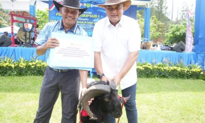 Tingkatkan Kualitas Peternak, Bupati Rudy Susmanto Dukung "Pesta Patok" Domba Garut di Lanud ATS