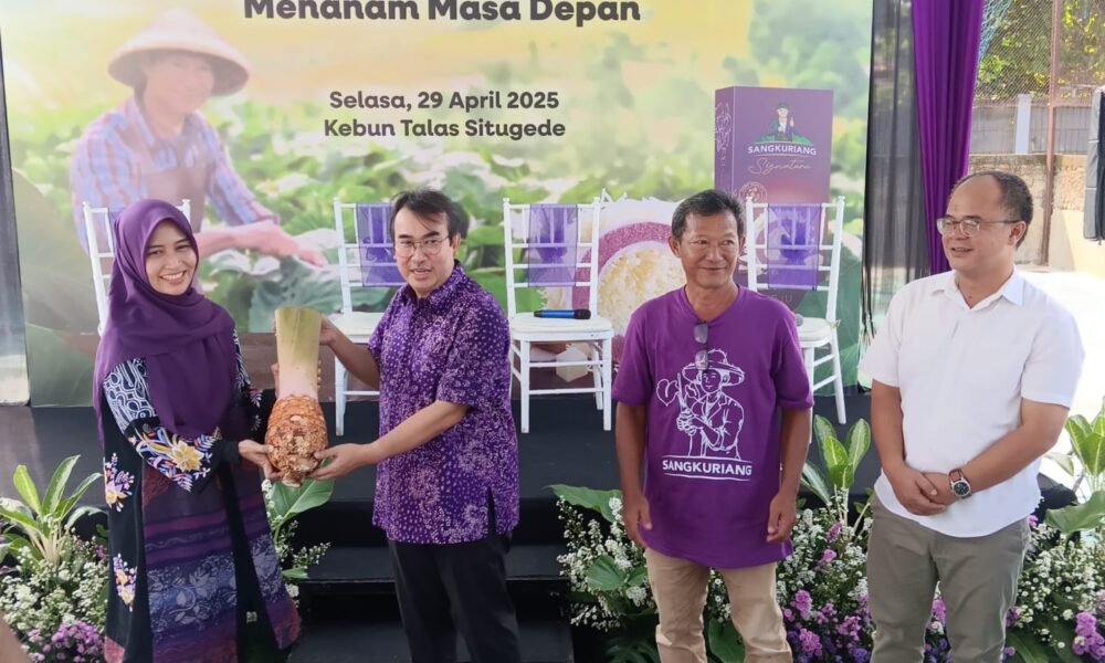 Lapis Bogor Sangkuriang Berdayakan Petani Cetak Talas Unggul