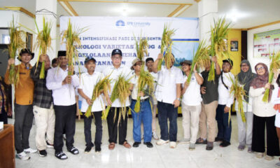 Padi IPB 9G Siap Ditanam di Lahan Kering Pamijahan Bogor