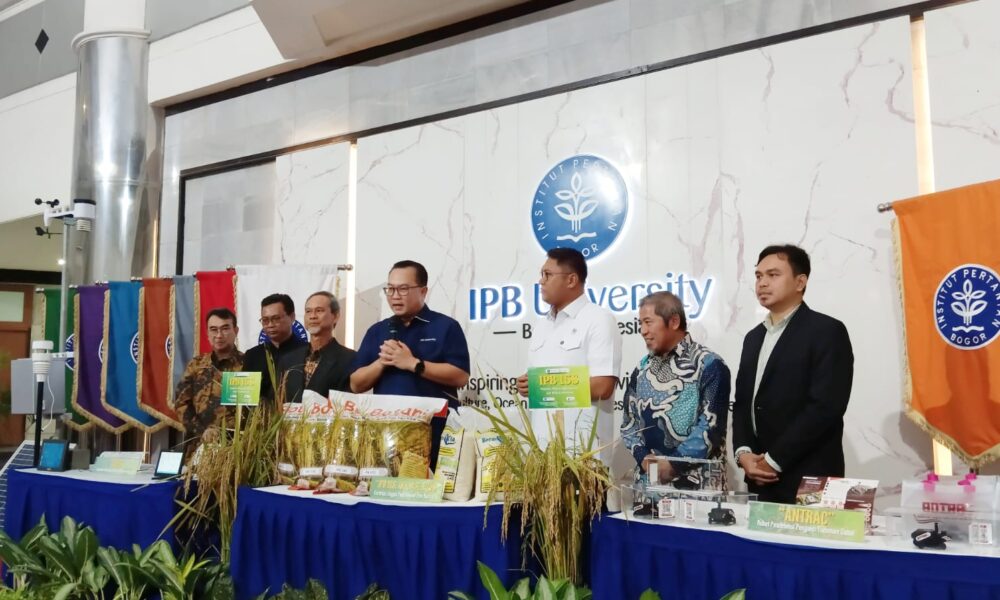 3 Inovasi Baru IPB: Padi IPB hingga Robot Pendeteksi Penyakit Cabai