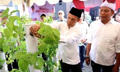 Kampung Hidroponik Megamendung, Wujudkan Kemandirian Pangan