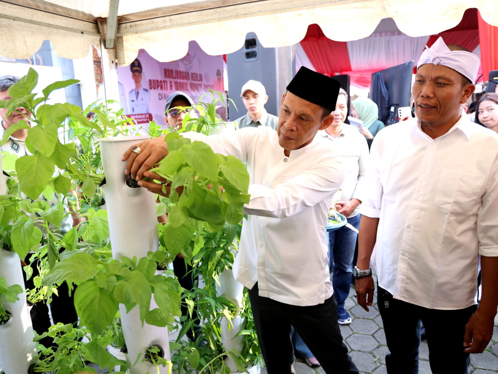 Kampung Hidroponik Megamendung, Wujudkan Kemandirian Pangan