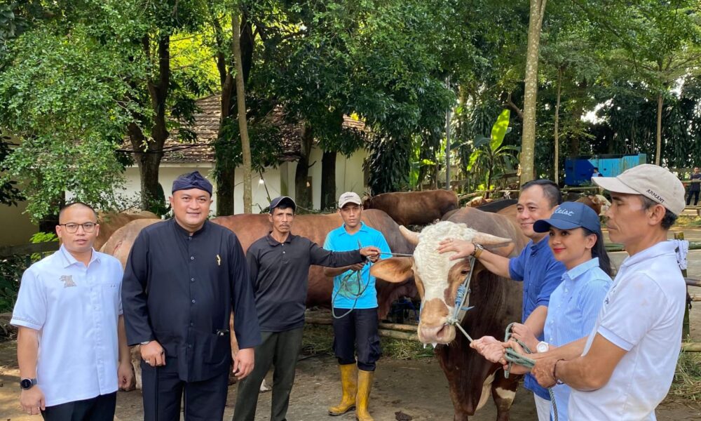 Presiden Prabowo Salurkan 58 Sapi Kurban di Bogor