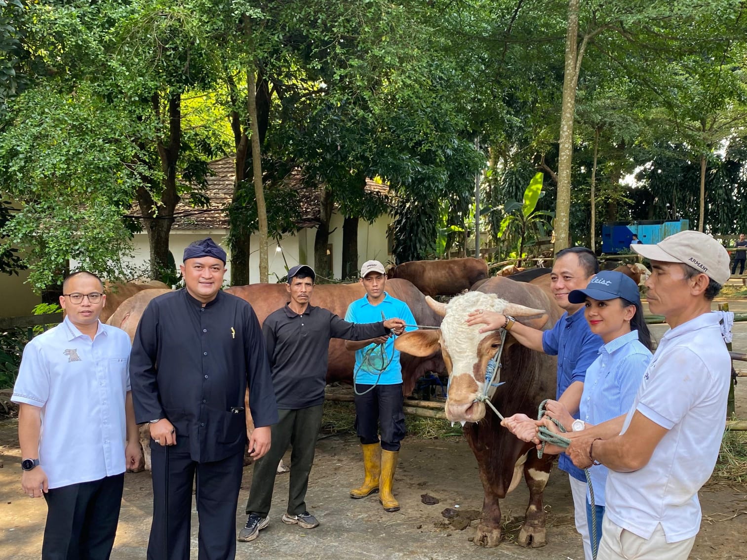 Presiden Prabowo Salurkan 58 Sapi Kurban di Bogor