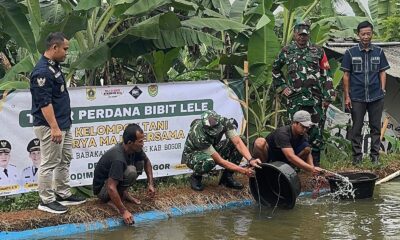 Kodim dan Desa Babakan Tebar 200 Ribu Benih Ikan Lele