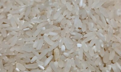 Pakar IPB Ungkap Ciri-ciri Beras Oplosan yang Mudah Dikenali