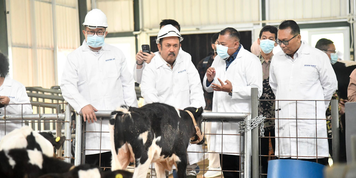 Kepala Bappenas Tinjau Sapi Merah Putih di IPB University