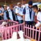 Meriahnya Kontes Domba Hingga Alat Pertanian Modern di Bogor