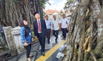 Berpotensi Membahayakan, Pohon Raksasa Tua Depan Balai Kota Bogor Dipangkas