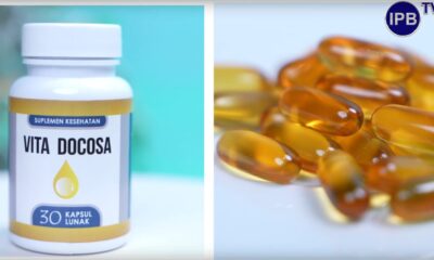 Limbah Mata Tuna Disulap jadi Suplemen Kaya DHA