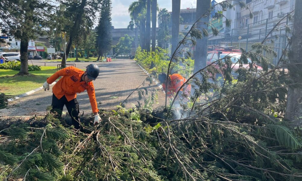 Pohon Tumbang di Cibadak Sempat Tutup Akses Jalan Perumahan