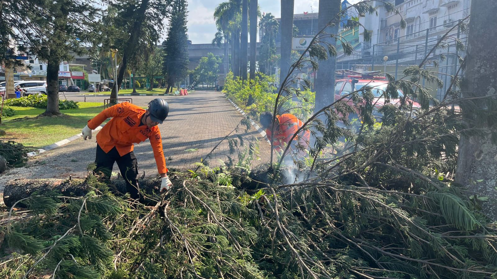 Pohon Tumbang di Cibadak Sempat Tutup Akses Jalan Perumahan