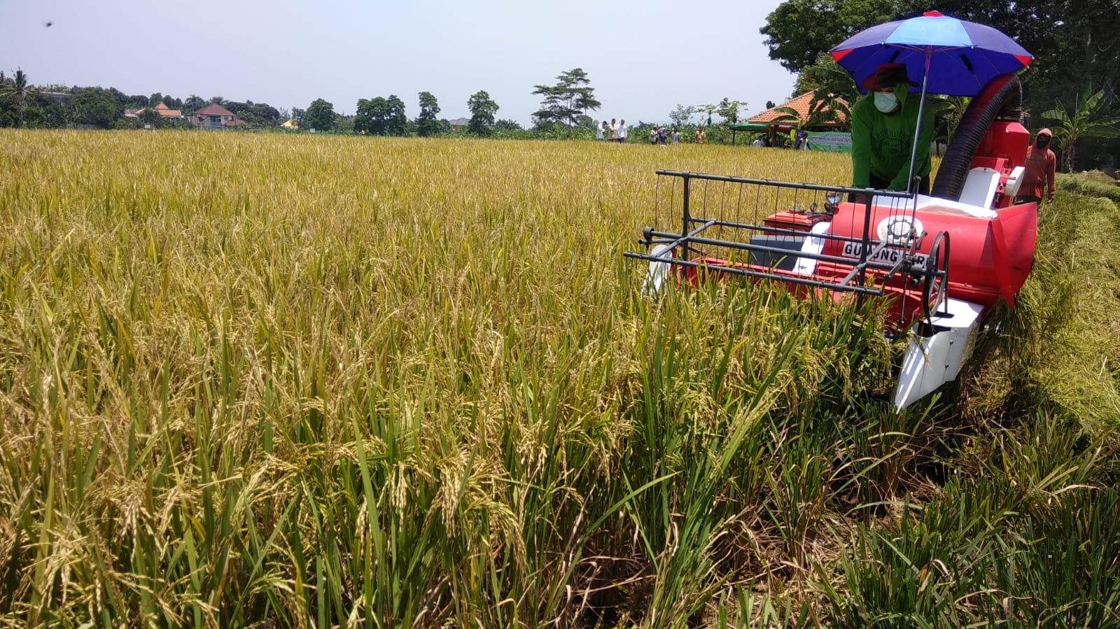 Nasib Lahan Pertanian Indonesia jadi Sorotan 2 Guru Besar IPB