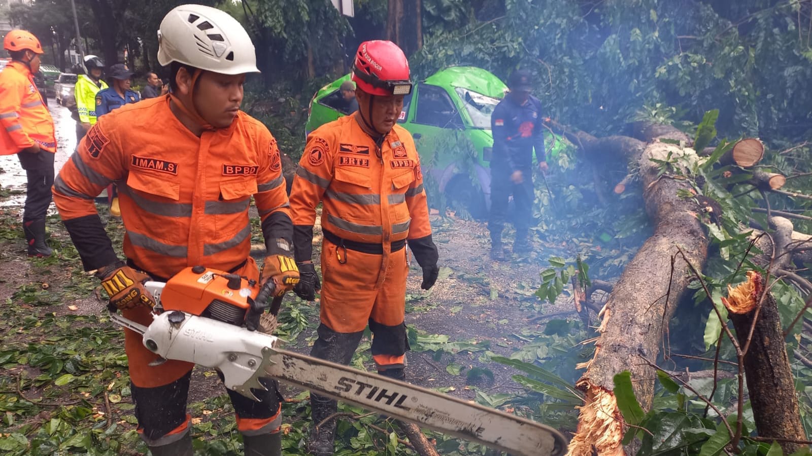 5 Pohon Tumbang Terjadi Bersamaan di Kota Bogor