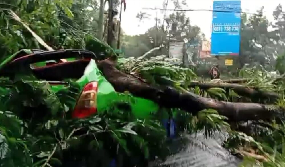 Pohon Tumbang Timpa Angkot di Jalan Pajajaran Kota Bogor